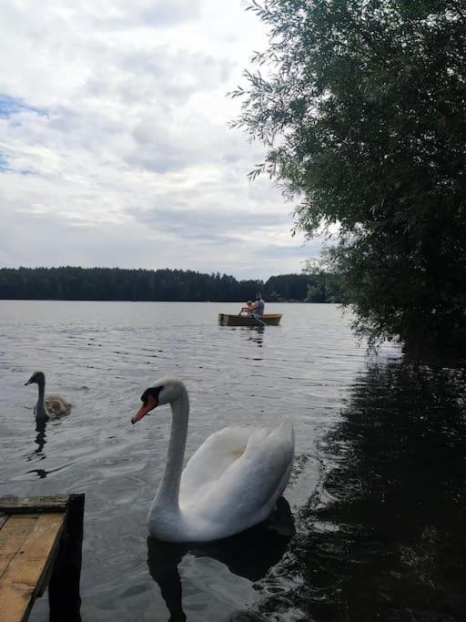 Wrzosowe Wzgorze - Domek Wiejski Klaczno Exteriör bild